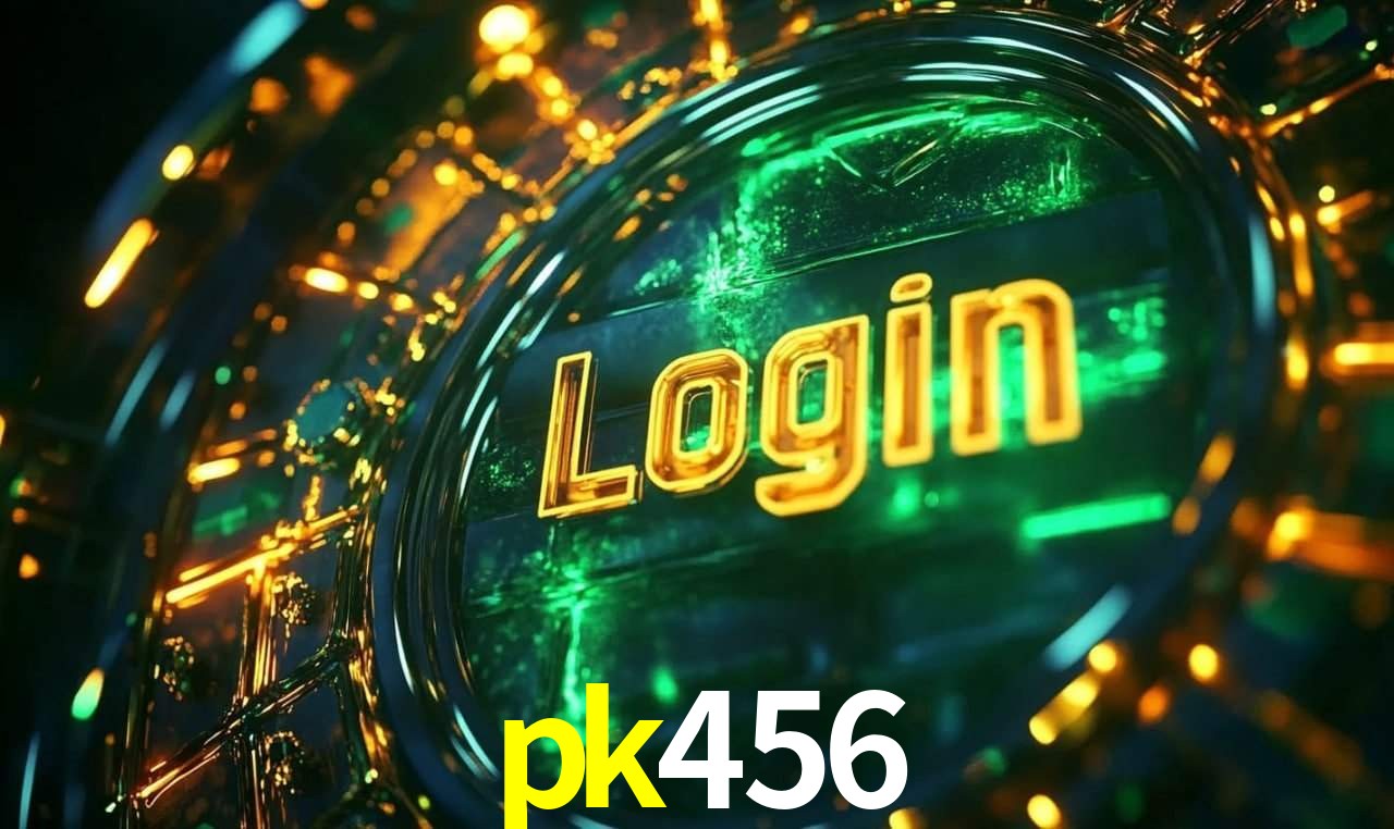 pk456 App Interface